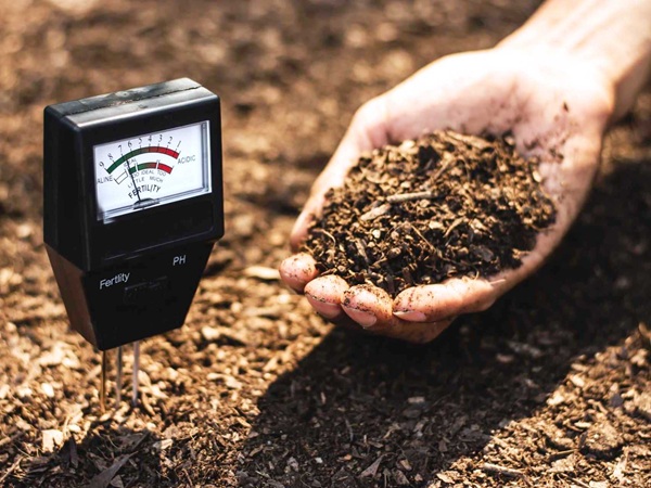 Осеннее агрохимобследование: Ключ к точному планированию урожая и экономии ресурсов