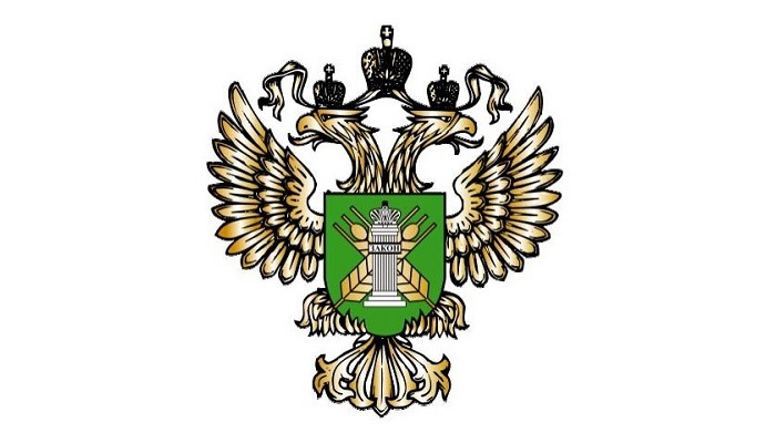 Усиление контроля Россельхознадзора за экспортом зерна в Турцию: новшества и последствия