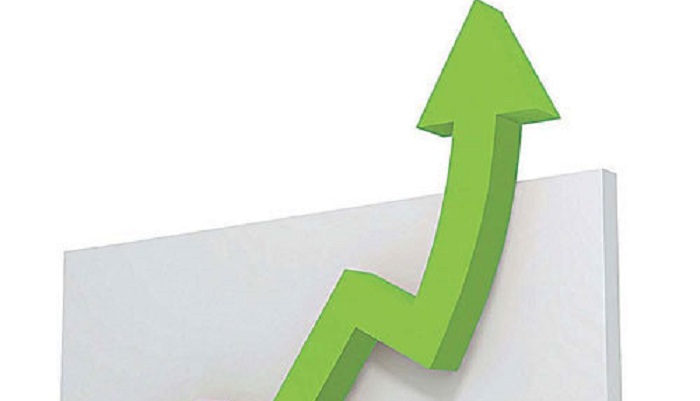 Валовой сбор пшеницы в России вырос на 11%