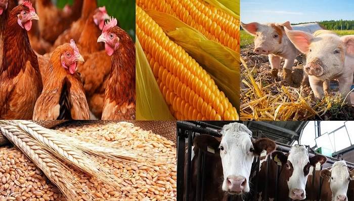 За девять месяцев сельхозпроизводство выросло на 2%