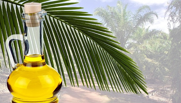 Правительство не выявило вредных воздействий пальмового масла на здоровье