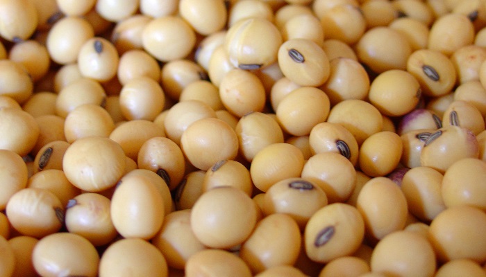 Пензенская область: растущий потенциал производства сои и сельскохозяйственных культур