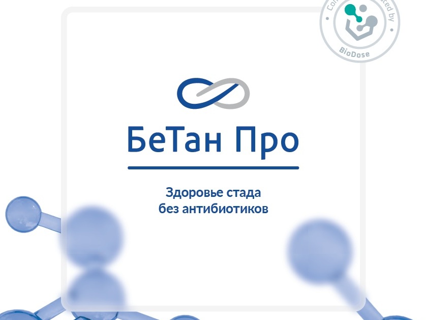 БеТан Про - защита от дисбактериоза и субклинического воспаления кишечника свиней