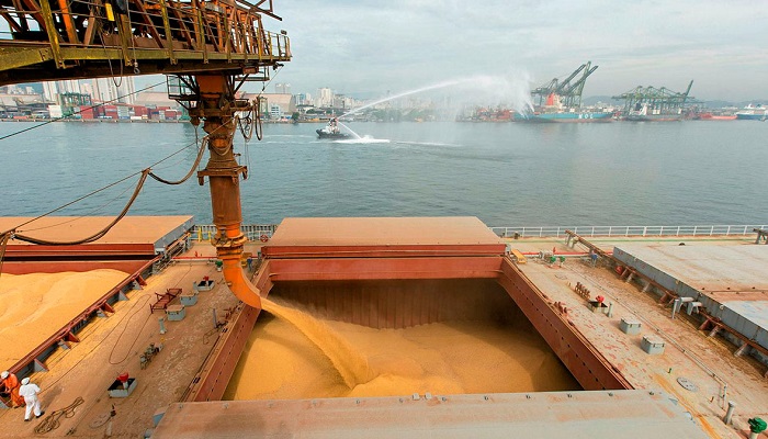 Из ростовских портов  начали отгружать зерно нового урожая на экспорт