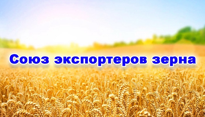 Союз экспортеров зерна начал публиковать консенсус-индикативы экспортных цен на пшеницу. Индик...