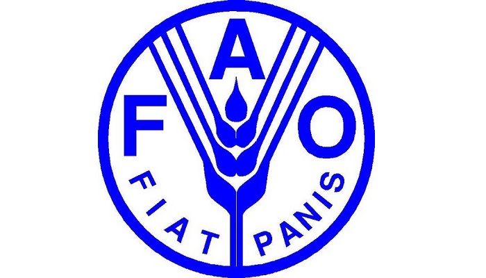 FАО обнародовала первые оценки мирового баланса зерновых в 2023/24 МГ