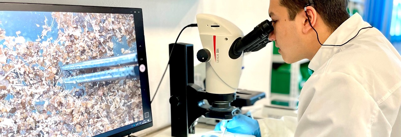 Лаборатория Агроплем