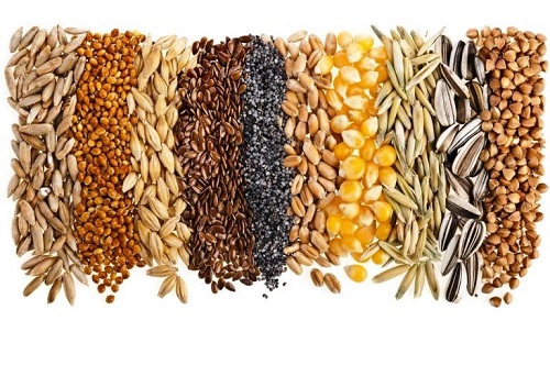 Товароведение и экспертиза зерна