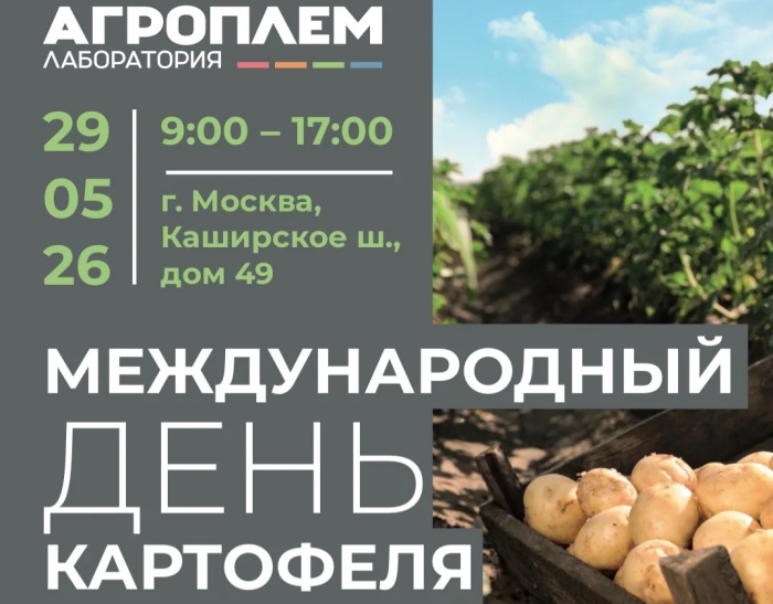 Международный день картофеля вместе с ‘Агроплем’