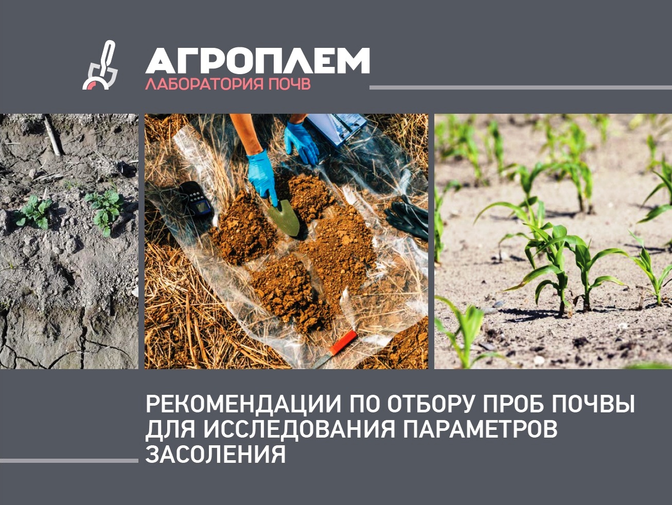 Токсико-химический анализ почвы