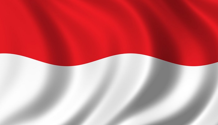 Индонезия, один из крупнейших производителей пальмового масла в мире, объявила о повышении баз...