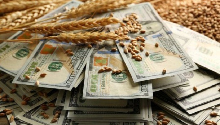 Российский госинтервенционный фонд начинает закупки зерна