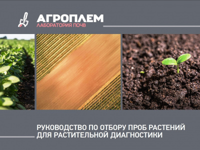 Руководство по отбору проб растений для растительной диагностики