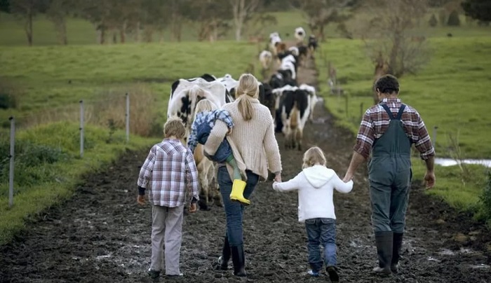 Школа агротуризма на Юге России: как фермерскому хозяйству выйти в туризм и начать зарабатывать