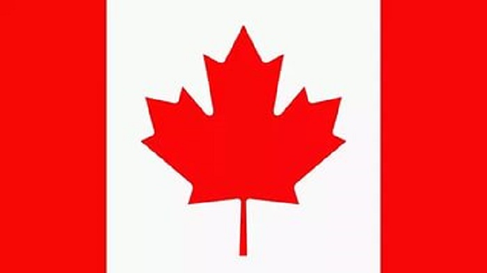 Увеличение посевных площадей под рапсом в Канаде: причины и последствия