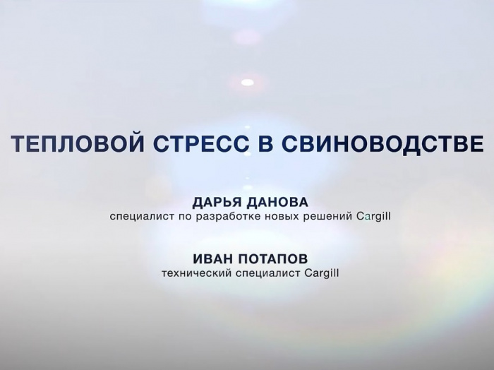 Тепловой стресс в свиноводстве