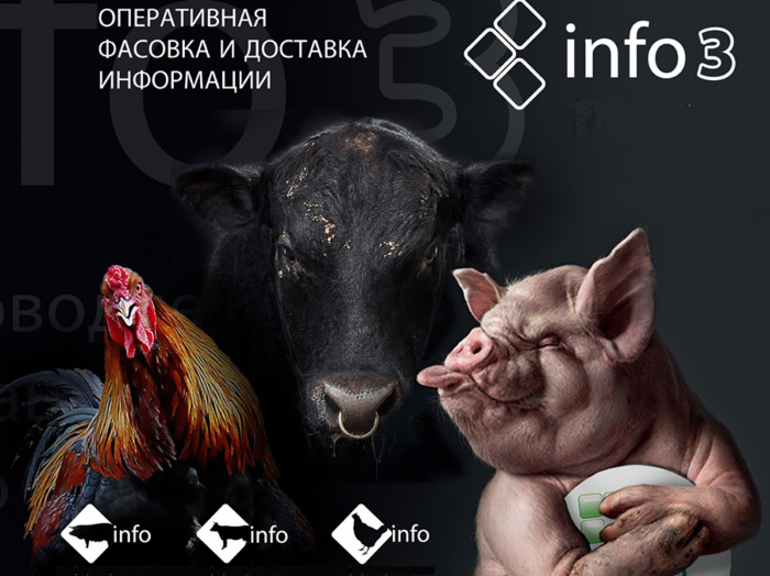 850 000 уникальных посетителей. Предварительные итоги 20025 года