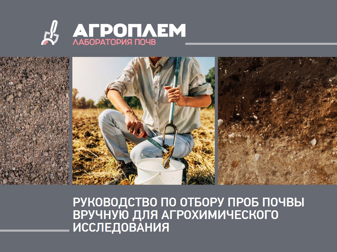 Агрохимическая оценка почвы и почвенного плодородия