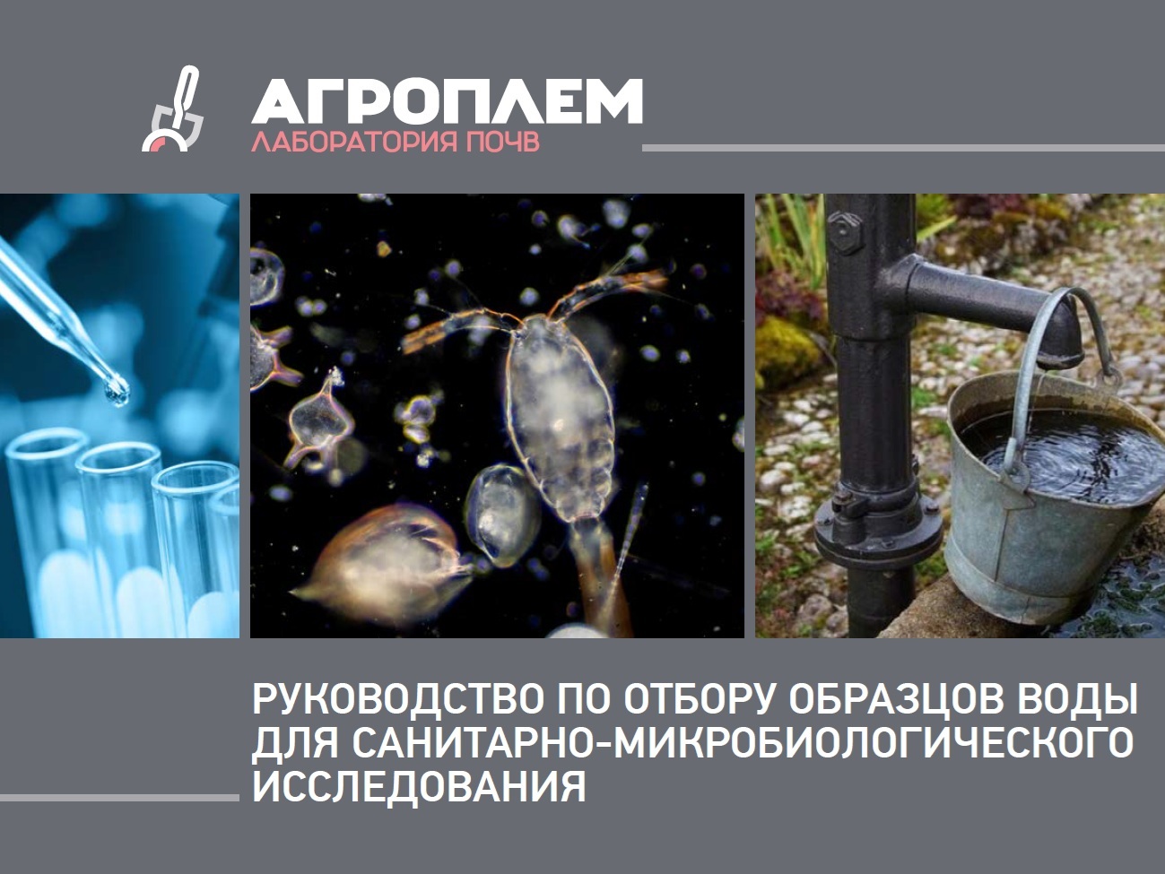 Санитарно-микробиологический анализ почв и грунтов