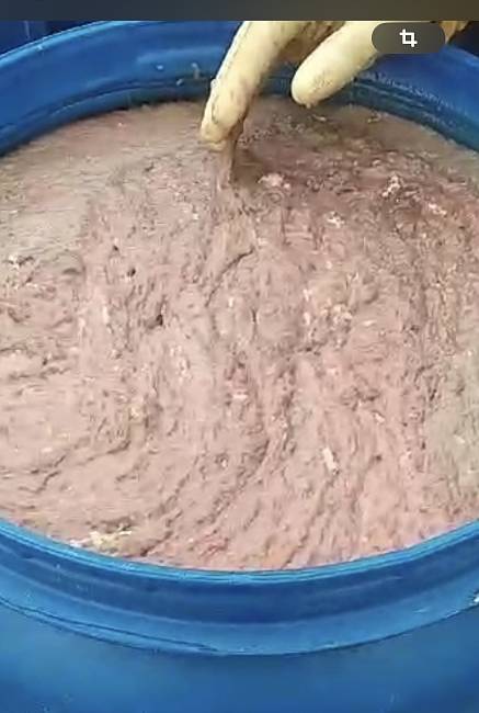 Мукоза свиная